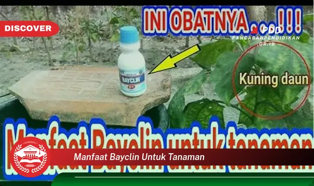 manfaat bayclin untuk tanaman