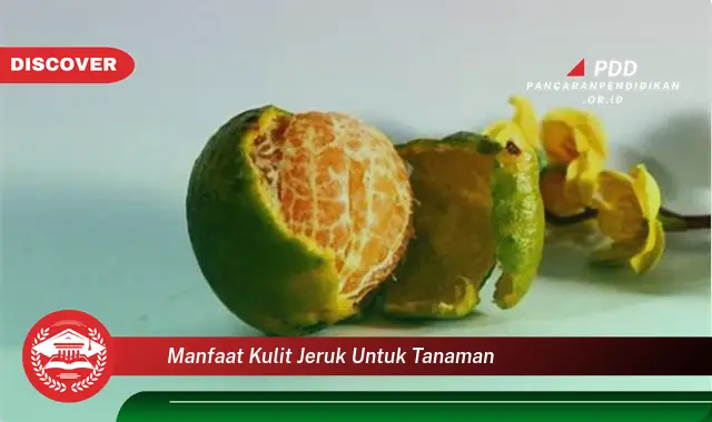 manfaat kulit jeruk untuk tanaman