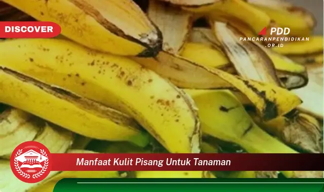 manfaat kulit pisang untuk tanaman
