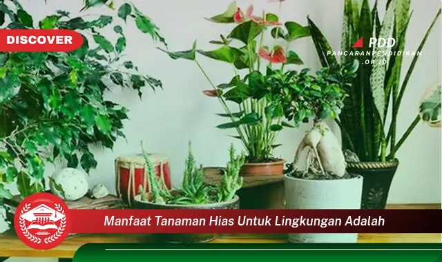 manfaat tanaman hias untuk lingkungan adalah