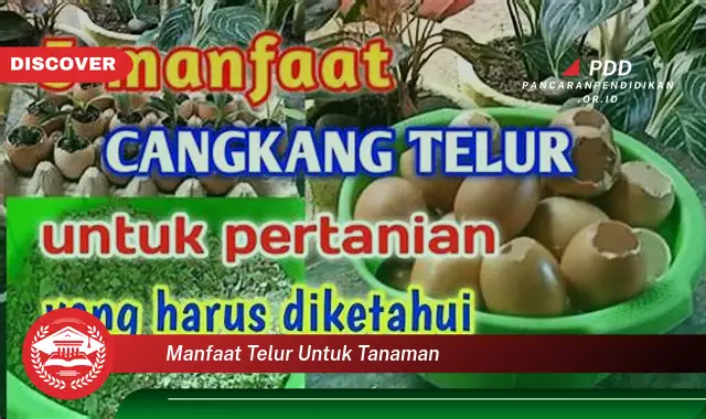 Kamu Wajib Tahu, Inilah 30 Manfaat Telur untuk Tanaman yang Bikin Penasaran