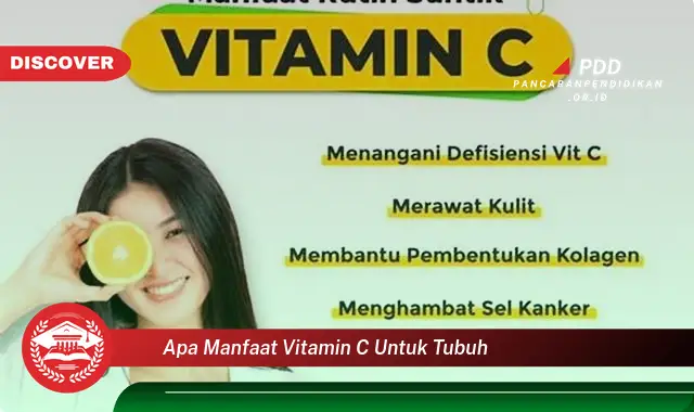 Bikin Penasaran, Ketahui 30 Manfaat Vitamin C untuk Tubuh yang Jarang Diketahui