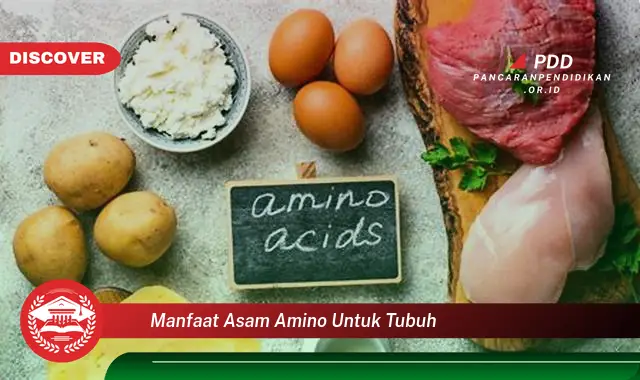 manfaat asam amino untuk tubuh