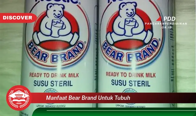 manfaat bear brand untuk tubuh