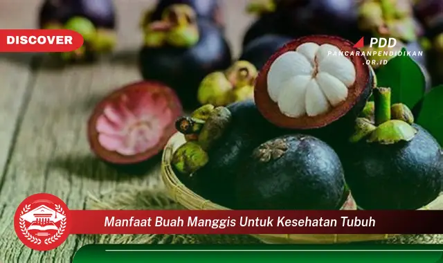 Banyak yang Belum Tahu, Inilah 30 Manfaat Buah Manggis yang Wajib Diintip