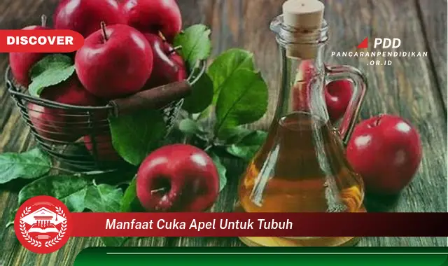 manfaat cuka apel untuk tubuh