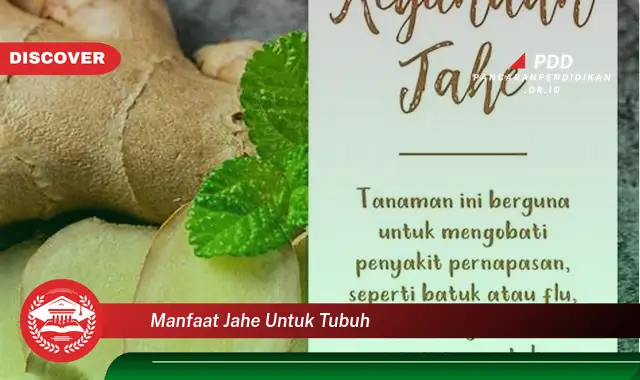 manfaat jahe untuk tubuh