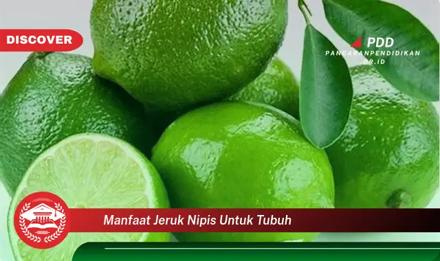 manfaat jeruk nipis untuk tubuh