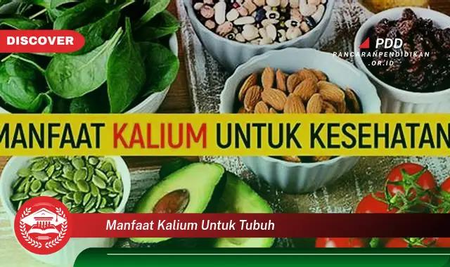manfaat kalium untuk tubuh