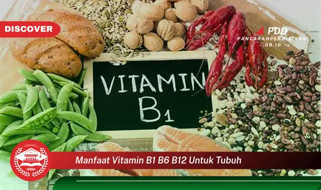 manfaat vitamin b1 b6 b12 untuk tubuh