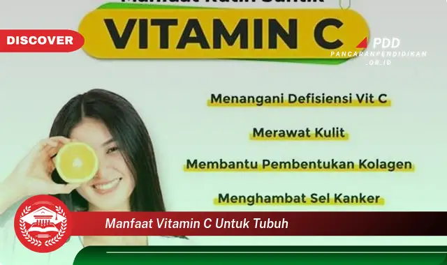 manfaat vitamin c untuk tubuh