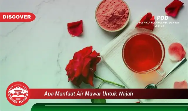 apa manfaat air mawar untuk wajah