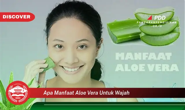 Temukan 10 Manfaat Aloe Vera untuk Wajah yang Bikin Kamu Penasaran