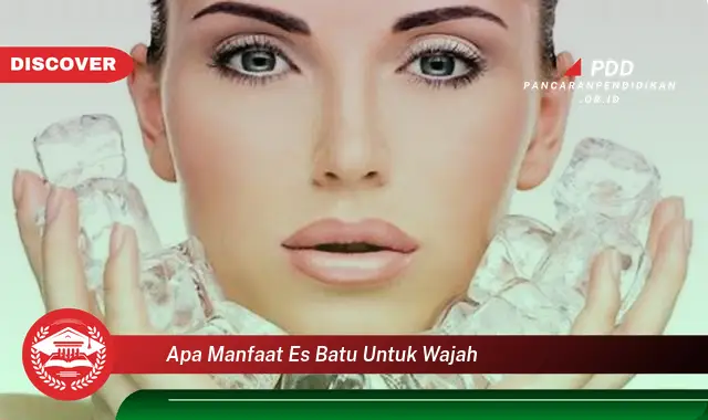 apa manfaat es batu untuk wajah