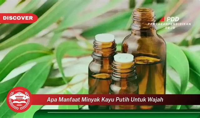 apa manfaat minyak kayu putih untuk wajah