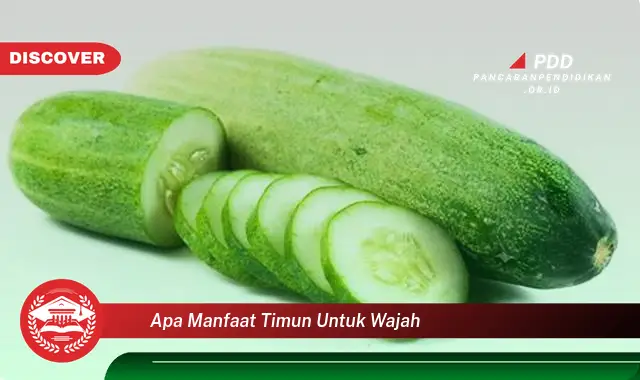 apa manfaat timun untuk wajah