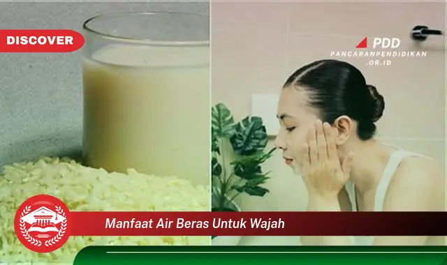 manfaat air beras untuk wajah