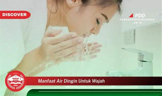 manfaat air dingin untuk wajah