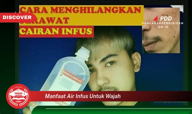 manfaat air infus untuk wajah