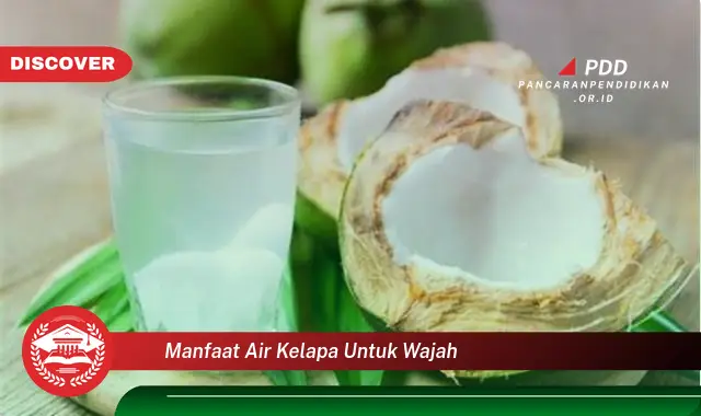 manfaat air kelapa untuk wajah