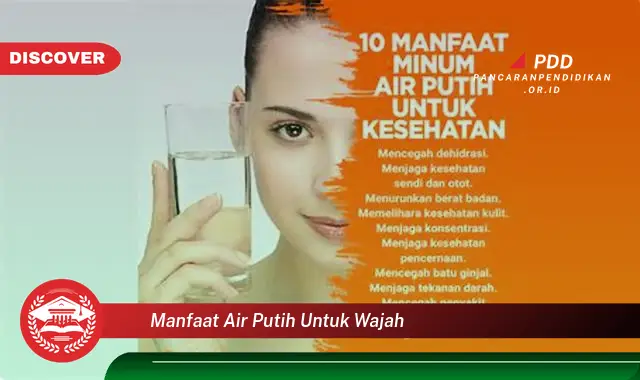 manfaat air putih untuk wajah