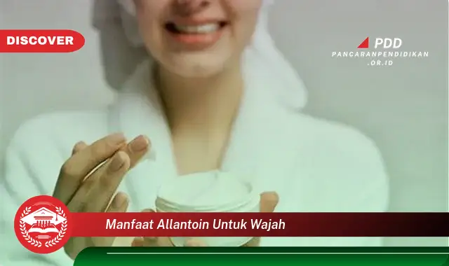 manfaat allantoin untuk wajah