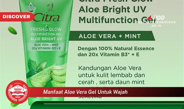 manfaat aloe vera gel untuk wajah