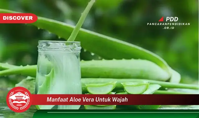 manfaat aloe vera untuk wajah