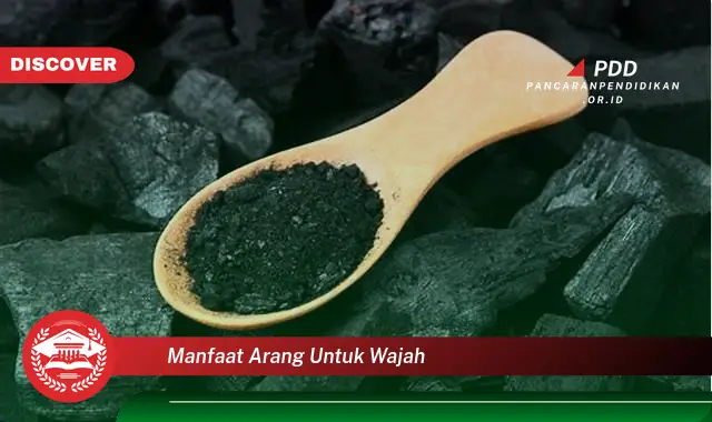 manfaat arang untuk wajah