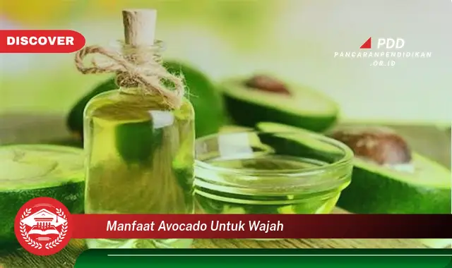 manfaat avocado untuk wajah