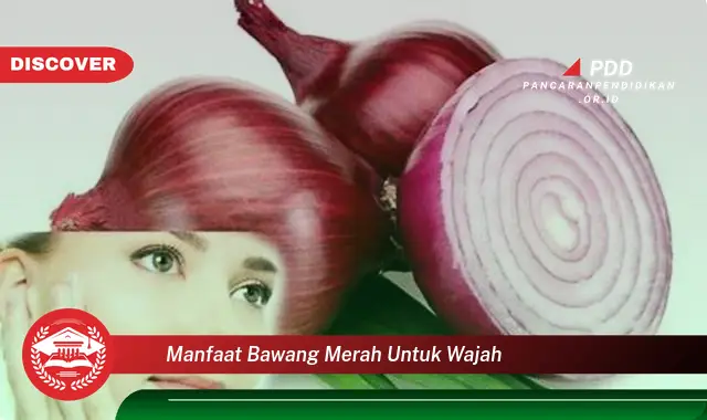 manfaat bawang merah untuk wajah