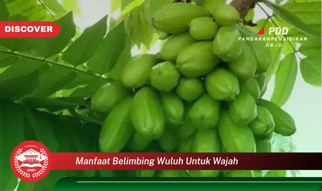 manfaat belimbing wuluh untuk wajah