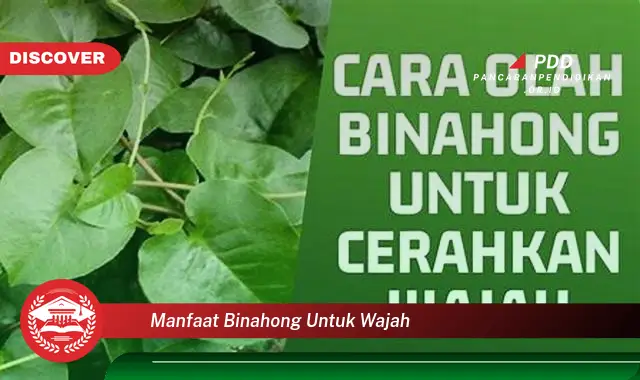 manfaat binahong untuk wajah