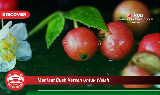 manfaat buah kersen untuk wajah