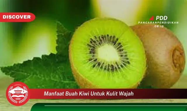 manfaat buah kiwi untuk kulit wajah