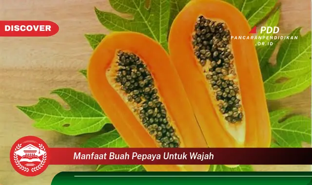 manfaat buah pepaya untuk wajah