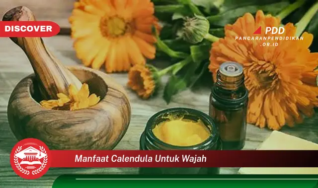 manfaat calendula untuk wajah
