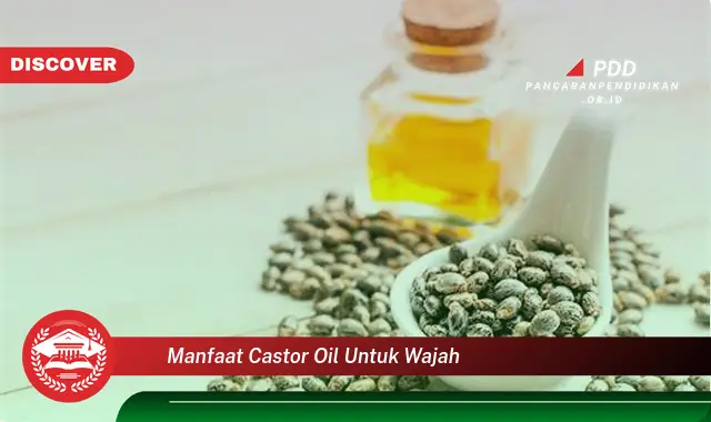 manfaat castor oil untuk wajah