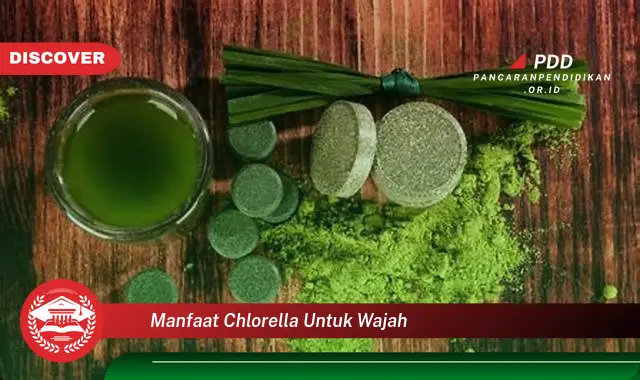 manfaat chlorella untuk wajah