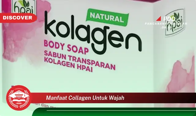 manfaat collagen untuk wajah