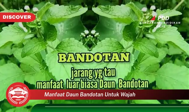 manfaat daun bandotan untuk wajah