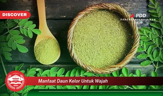 Temukan 10 Manfaat Daun Kelor untuk Wajah yang Bikin Kamu Penasaran