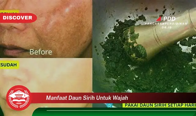 manfaat daun sirih untuk wajah