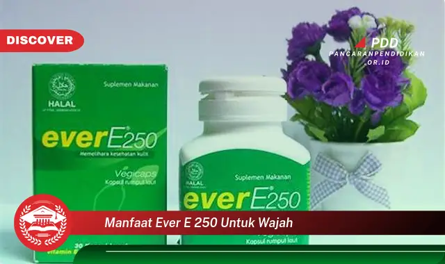 manfaat ever e 250 untuk wajah