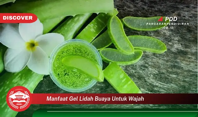 manfaat gel lidah buaya untuk wajah