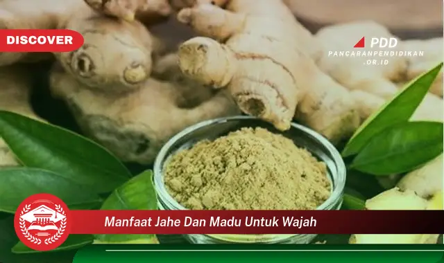 manfaat jahe dan madu untuk wajah