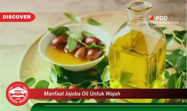 manfaat jojoba oil untuk wajah