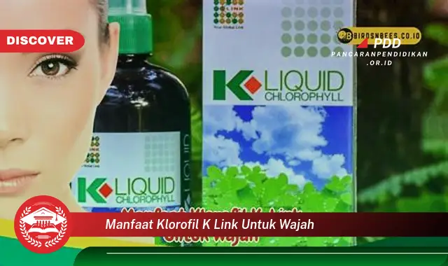 manfaat klorofil k link untuk wajah