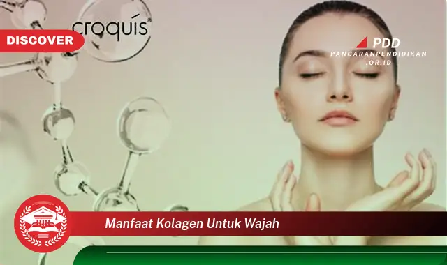 manfaat kolagen untuk wajah