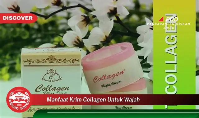 manfaat krim collagen untuk wajah